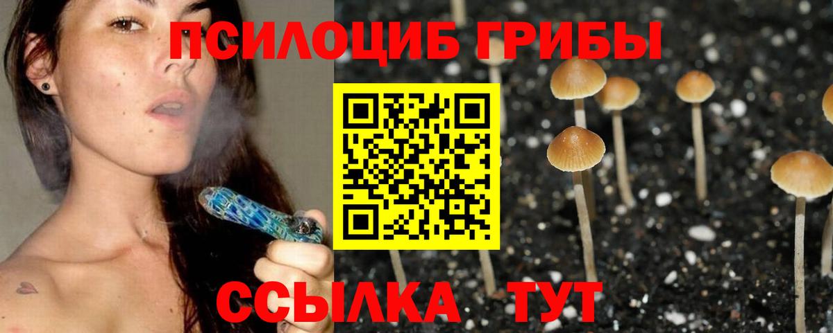 где продают   Вход с VPN  Галлюциногенные грибы мицелий  Лысьва  Псилоцибиновые грибы прущие грибы 